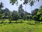 Land for Sale in Manikhinna