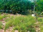 Land for Sale in Manipay-Kaitadi Road