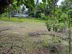 Land for Sale in Manippai