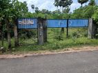 Land for Sale in Manippai