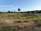 Land for Sale in Mannar