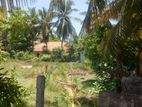 Land for Sale in Mannar Town