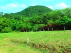 Land for Sale in Maputugala