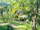 Land for Sale in Maradagahamula