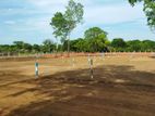 Land for Sale in Maradankadawala Town Area