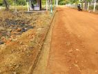 Land for Sale in Maradankadawala Town