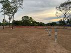 Land for Sale in Maradankadawala Town