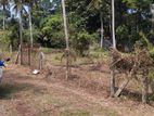 Land for Sale in Marawila