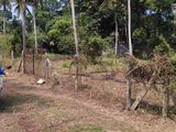 Land for Sale in Marawila