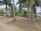 Land for Sale in Marawila