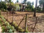 Land for Sale in Masiripura