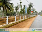 Land For Sale In Maspotha