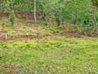 Land for Sale in Matale - Alupathwala