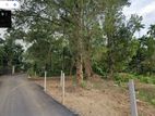 Land for Sale in Matale