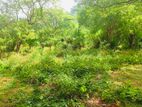 Land for Sale in Matale