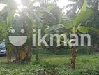 Land for sale in Matale