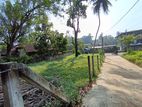 Land for Sale in Matale