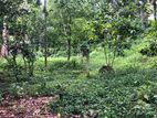 Land for Sale in Matale