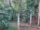 Land For Sale In Matale