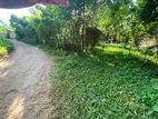 Land for Sale in Matale