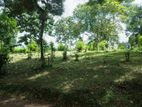 Land for sale in Matale