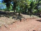 Land for sale in Matale