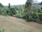 Land for sale in Matale