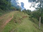 Land for sale in Matale