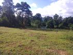 Land for sale in Matale