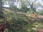 Land for sale in Matale