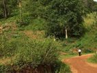 Land for sale in Matale