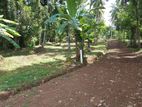Land for sale in Matale