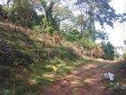Land for Sale in Matale