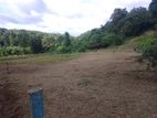 Land for sale in Matale