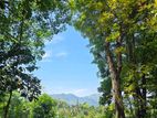 Land for Sale in Matale