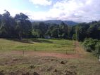 Land for sale in Matale
