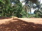 Land for sale in Matale