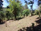 Land for sale in Matale