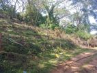 Land for sale in Matale