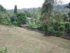 Land for sale in Matale