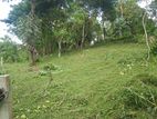 Land for sale in Matale