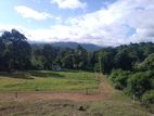 Land for sale in Matale