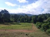 Land for Sale in Matale