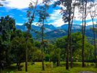 Land For Sale In Matale