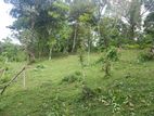 Land for sale in Matale