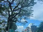 Land for sale in Matale
