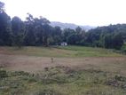 Land for sale in Matale