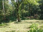 Land for sale in Matale