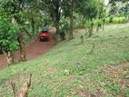 Land for sale in Matale