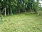 Land for sale in Matale